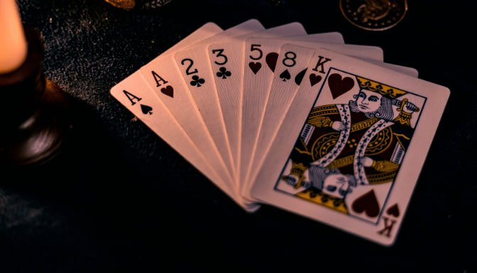 bv8